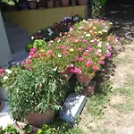 Hébergement de vacances Martha's *