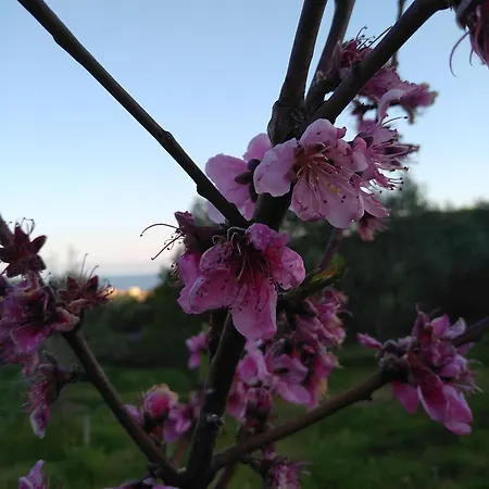 別荘 Martha's Nea Iraklitsa