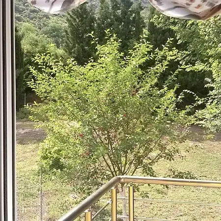 Martha's * Nea Iraklitsa