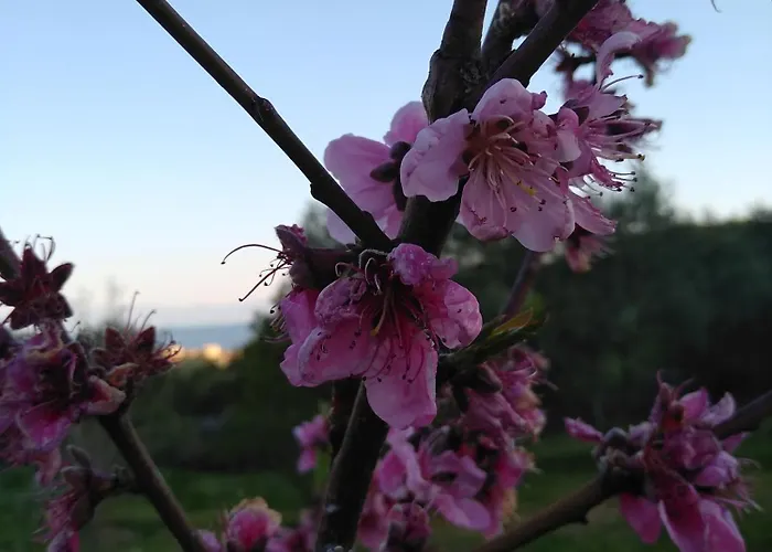 Feriehus Martha's Nea Iraklitsa