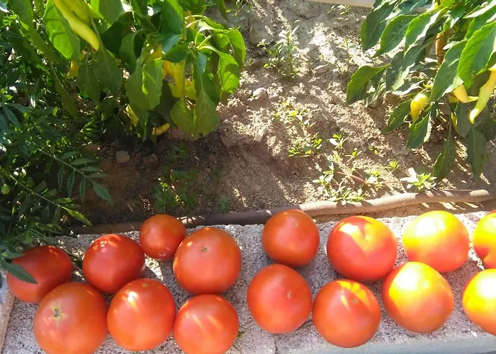 Martha's * Nea Iraklitsa